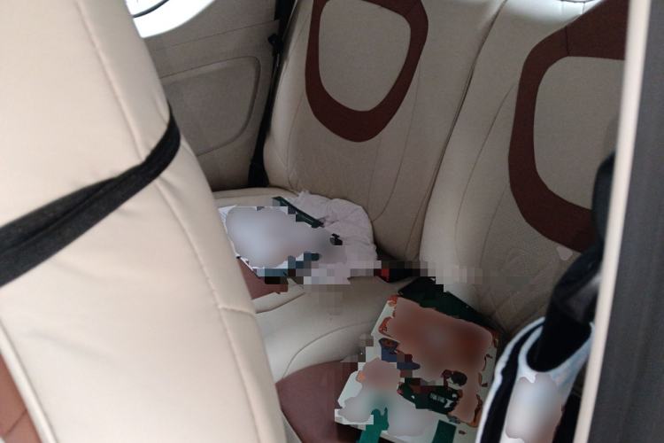 Used Wuling Hongguang MINIEV 2024 3rd Generation 215km Youth Edition Left Rear Seat