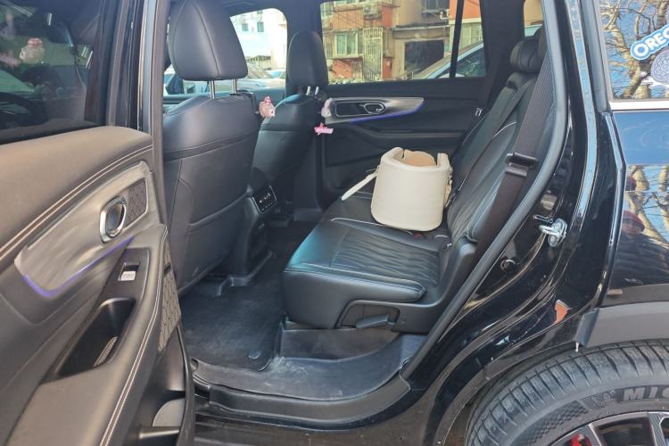 Used GAC Trumpchi GS8 2022 Linghang Series 2.0 TGDI Two-Wheel-Drive Luxury Smart Connectivity Version (7 Seats)