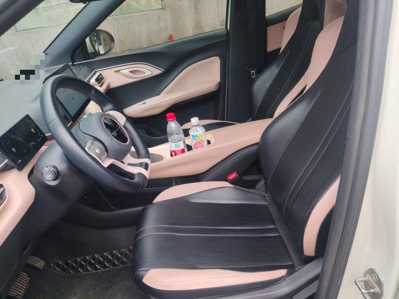 Used BYD Seagull 2023 Free Edition — 11