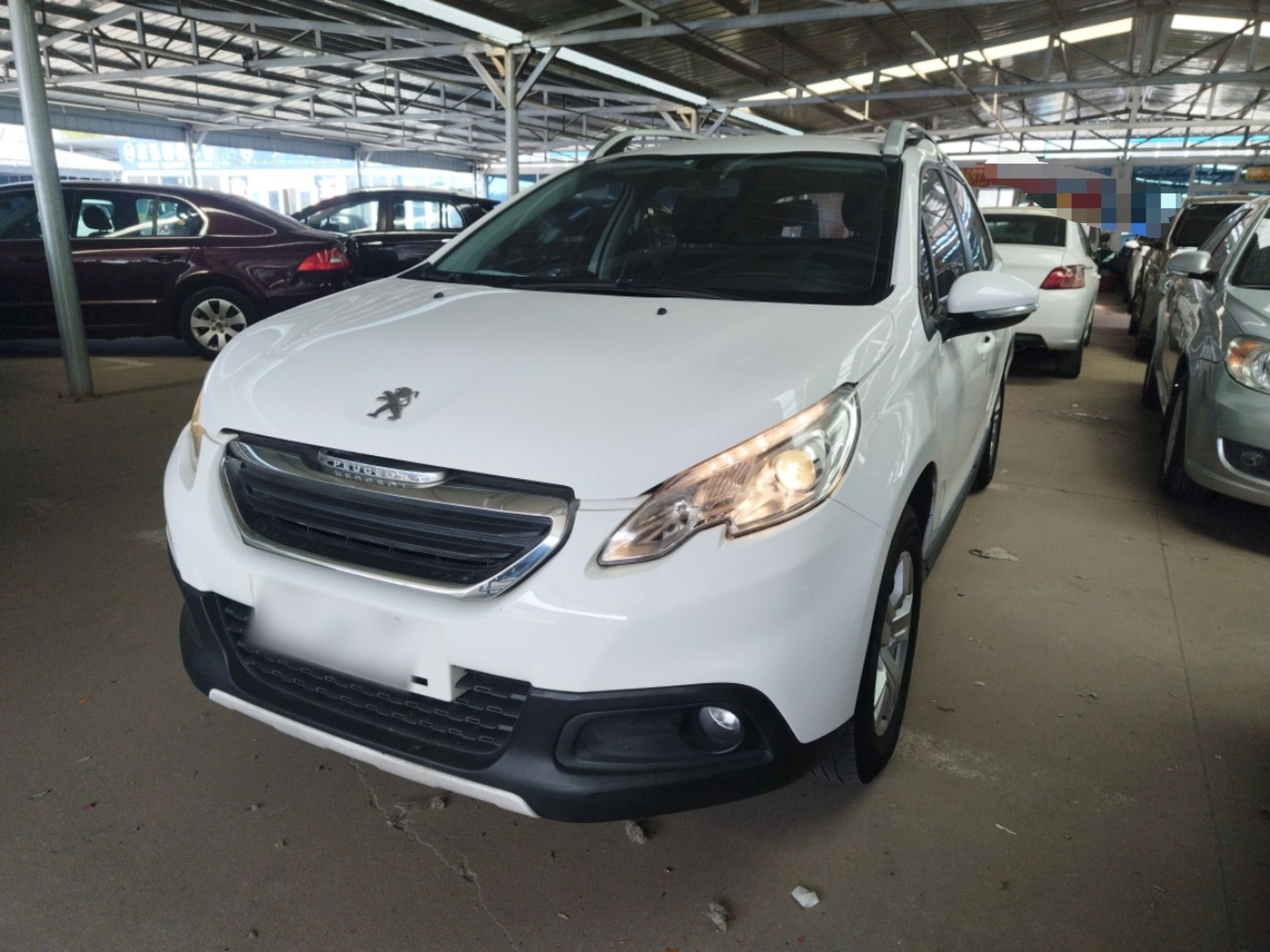 Parte inferior delantera