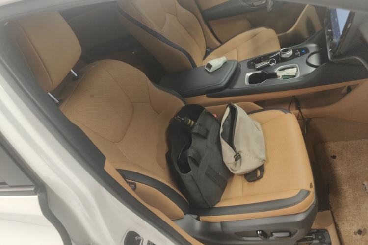 Used Lexus RZ 2023 450e All-Wheel-Drive Long-Range Version Right Front Seat