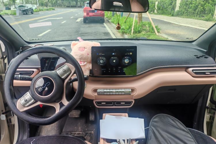 Used BYD Seagull 2025 305 km Free Version Center Console