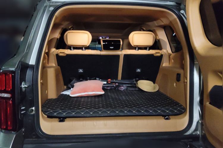 Used Tank 500 New Energy 2023 Hi4-T
