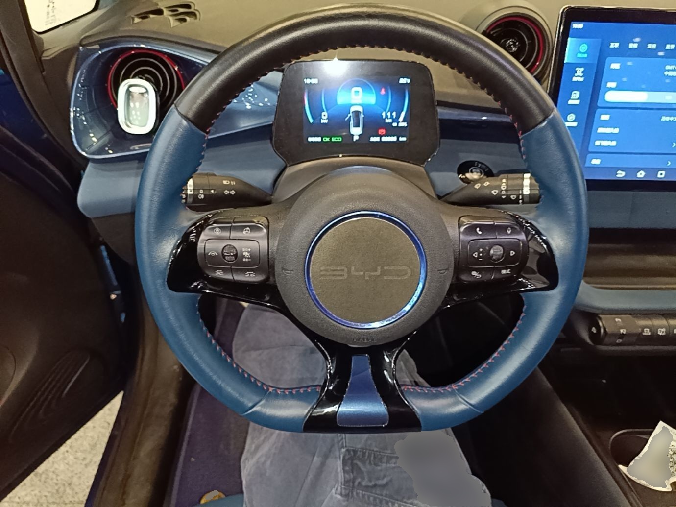 BYD Dolphin 2021 401km Knight Edition — снимка 13