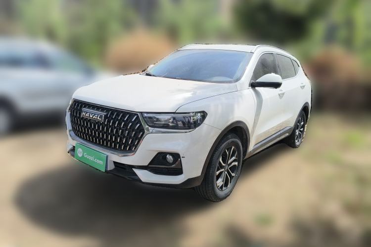 Used Haval H6 2023 National Trend Edition 1.5T Automatic Urban Version