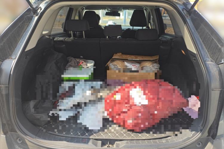 Used Toyota RAV4 2022 2.0L CVT Two-Wheel Drive Urban Edition Trunk