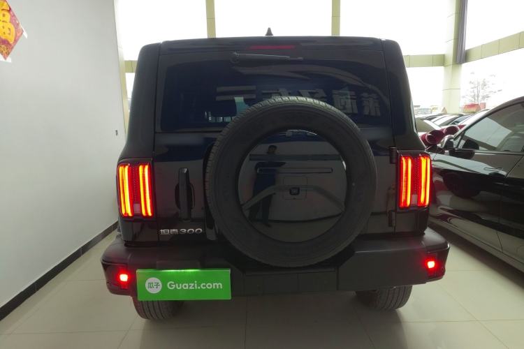 Used Tank 300 2024 2.0T Conqueror