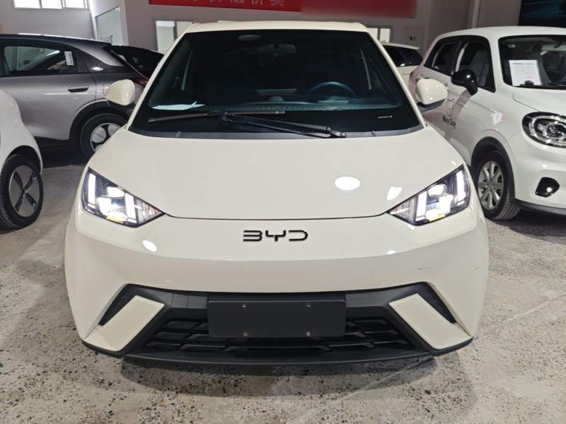 Used BYD Seagull 2024 Honor Edition 305km Freedom Version — 2