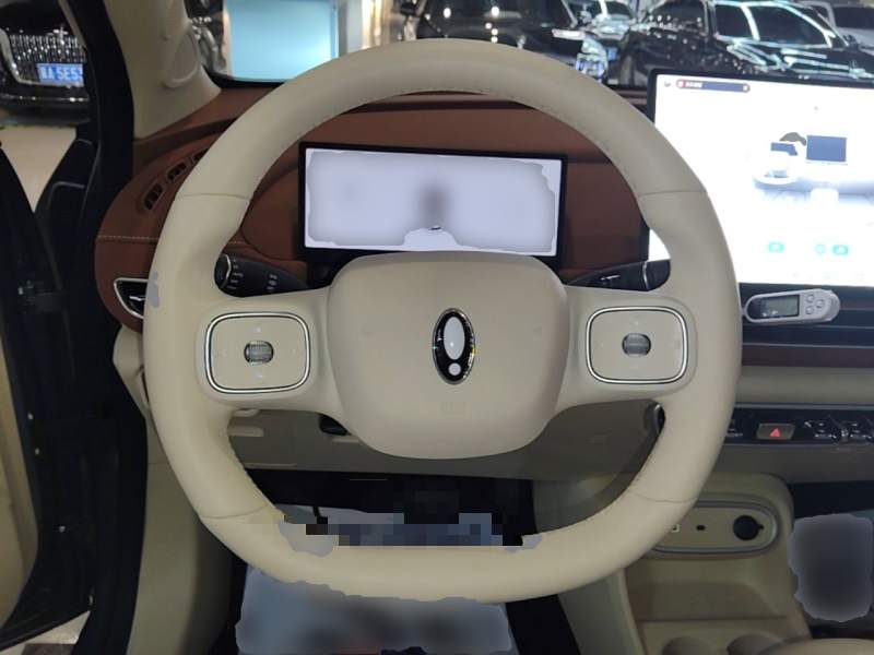 Used ORA Good Cat 2025 Model, 430 km Prestige Version — 10