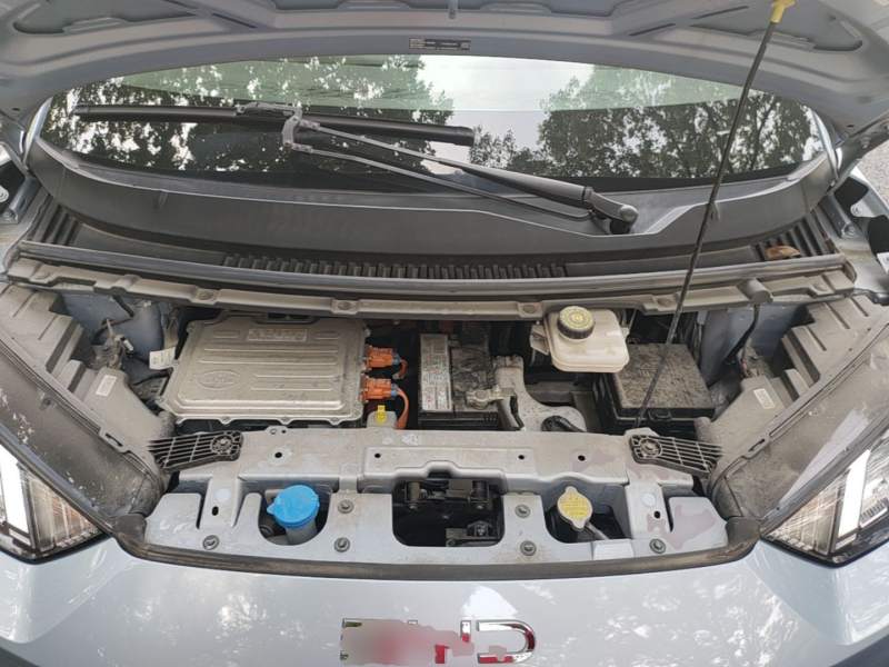 Used BYD Seagull 2024 Honor Edition 305km Freedom Version — 19