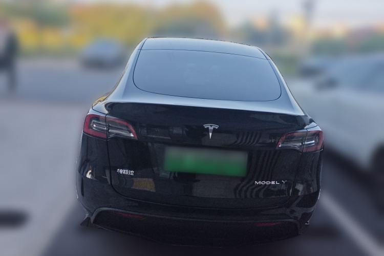 Used Tesla Model Y 2021 Standard Range Rear-Wheel Drive Version Rear