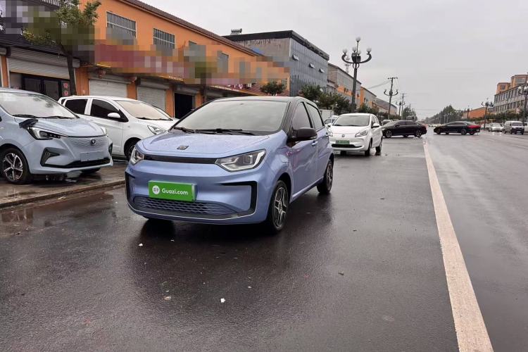 Used SOL E10X 2022 Flower Fairy Design Four-Leaf Clover