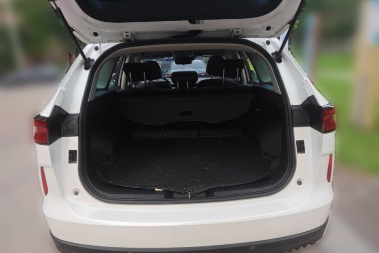 Used Haval H6 2021 3rd Generation 2.0T Automatic Two-Wheel Drive Max