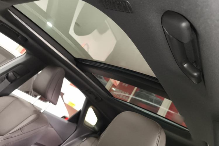 Used Lexus RX New Energy 2023 450h+ Four-Wheel Drive Enjoyment Edition Headliner