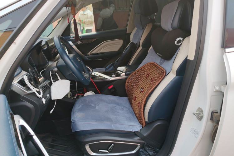 Used Livan Maple 80v PRO 2022 Comfort Model Long-Range Version