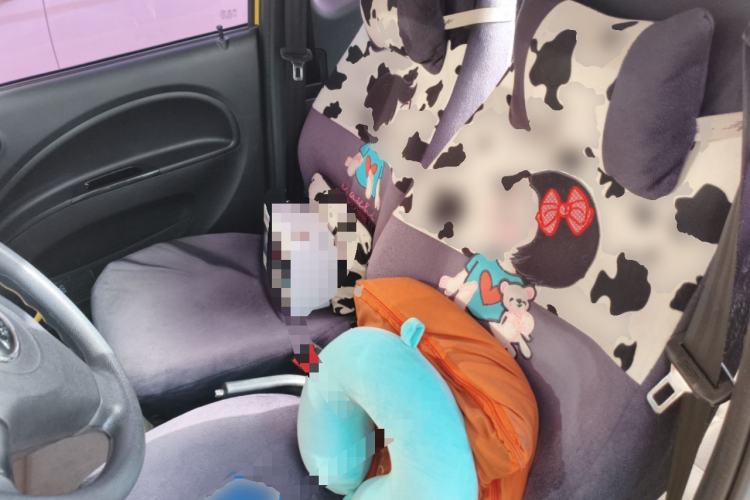 Used Know Beans D2 2017 D2 Enjoyment Edition Left Front Seat