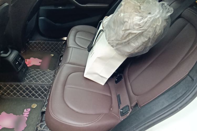 Used BMW X1 2020 sDrive25Li Leading Model Left Rear Seat