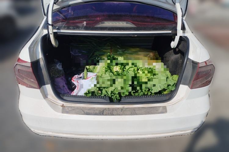 Used Volkswagen Jetta 2017 1.4L Manual Fashion Edition