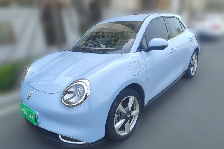 Used ORA Good Cat 2023 401 km Standard Range Luxury Version Lithium Iron Phosphate