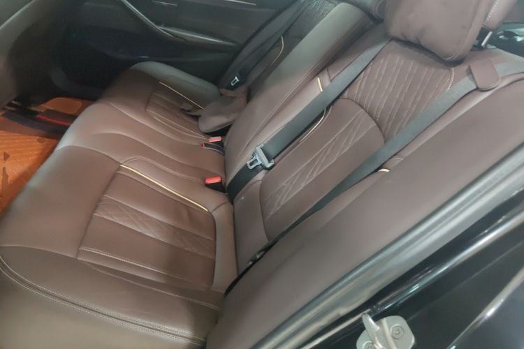 Used BMW 5 Series 2019 530Li Leading Model Luxury Package