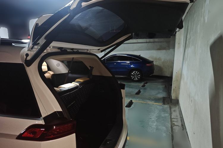 Used Kia Carnival 2021 2.0T Flagship Edition