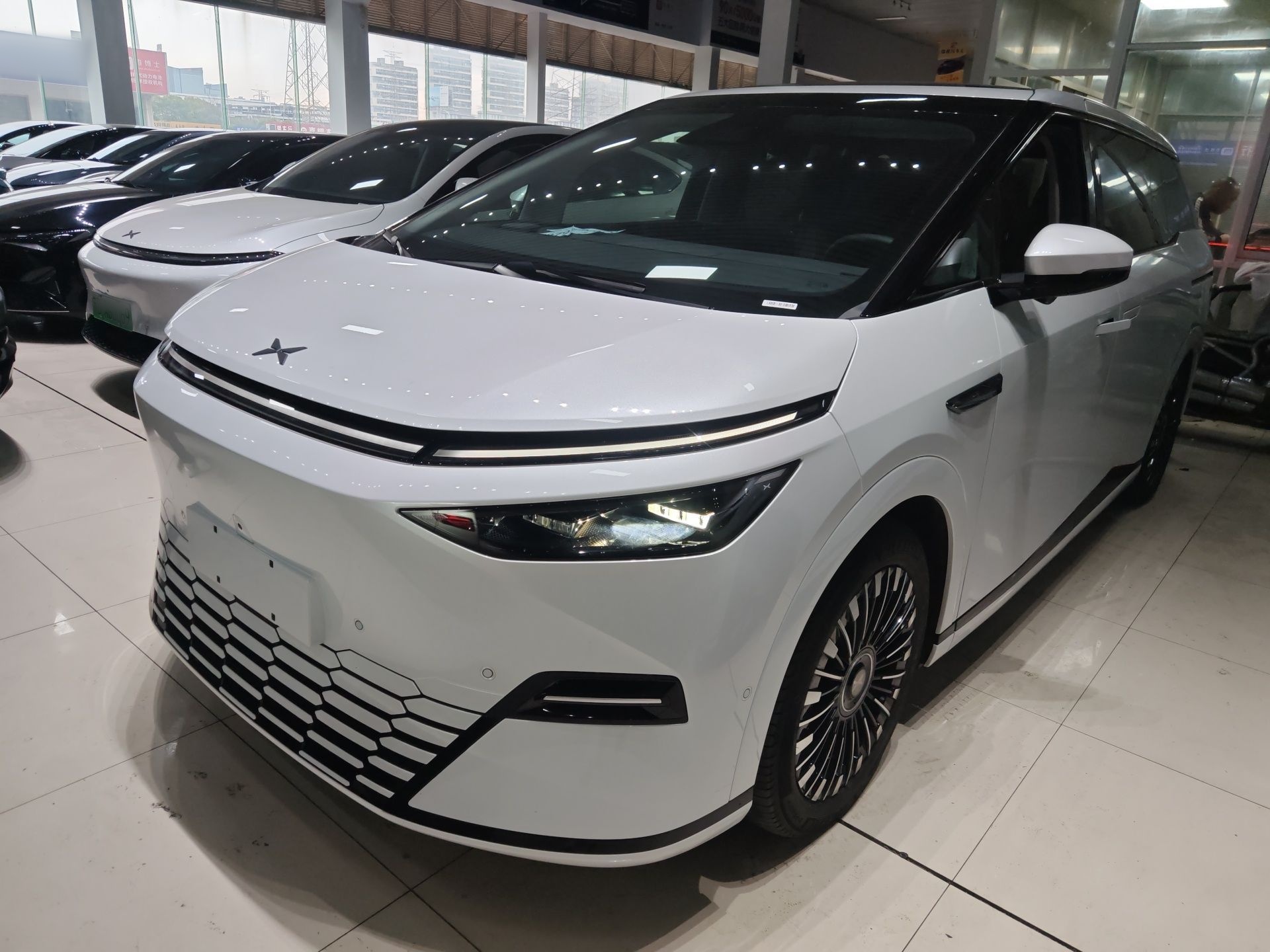 Parte inferior delantera