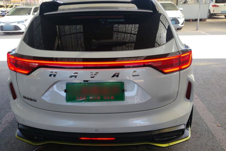 Used Haval LHERY 2021 High-Performance Version 1.5T Golden Rabbit
