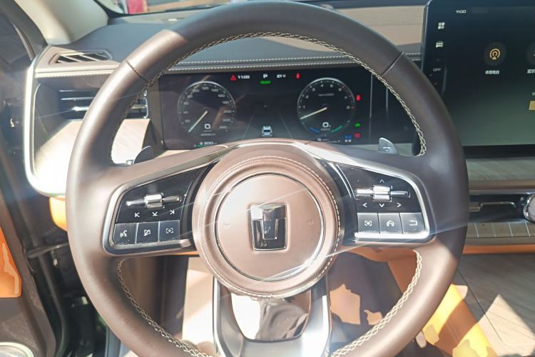 Used Tank 500 New Energy 2023 Hi4-T
