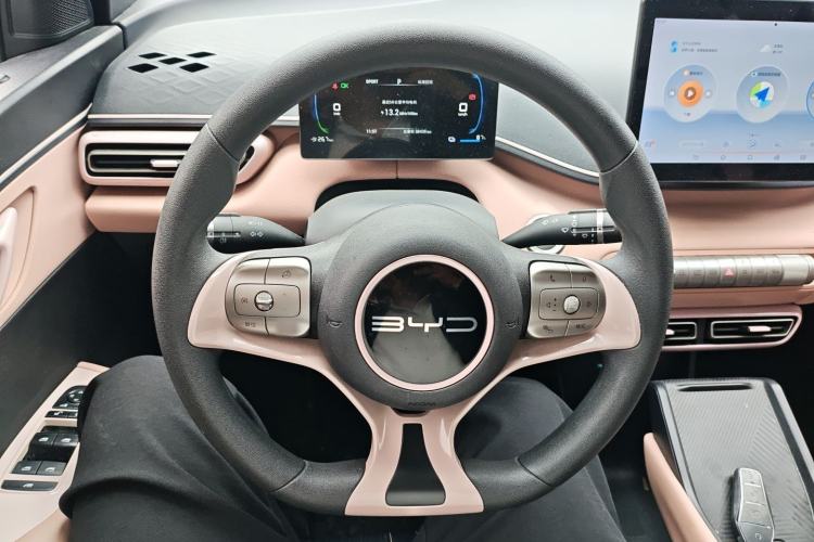 Used BYD Seagull 2023 Active Version
