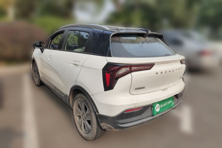 Used Geometry E Firefly 2022 401KM Lightning Tiger 4-Seater