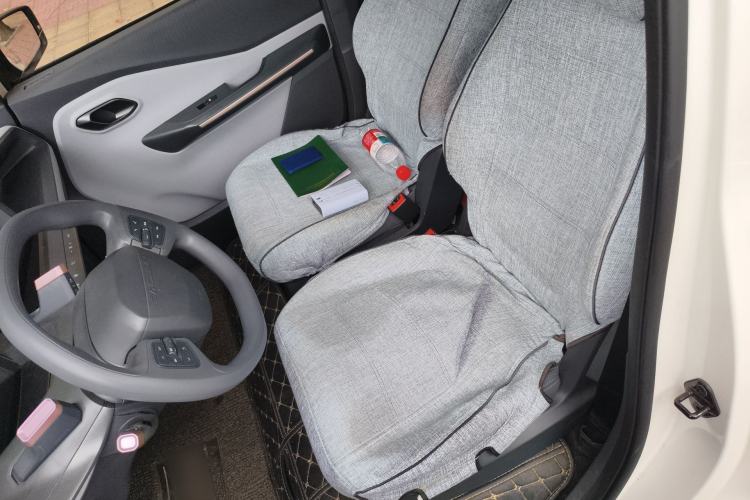 Used Baojun E200 2019 250KM Smart Drive Edition Left Front Seat