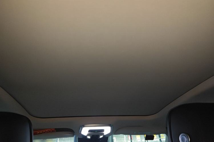 Used Hongqi H9 2020 2.0T Smart Connect Flagship Edition
