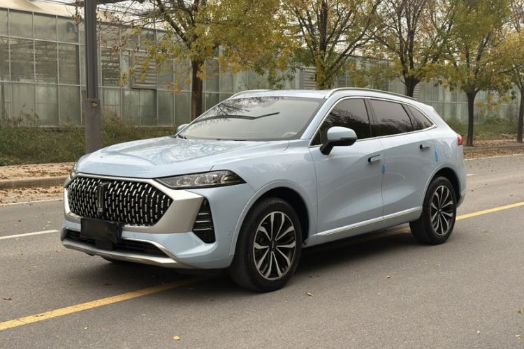 Used Wey Mocha 2021 2.0T Two-Wheel-Drive Premium Edition