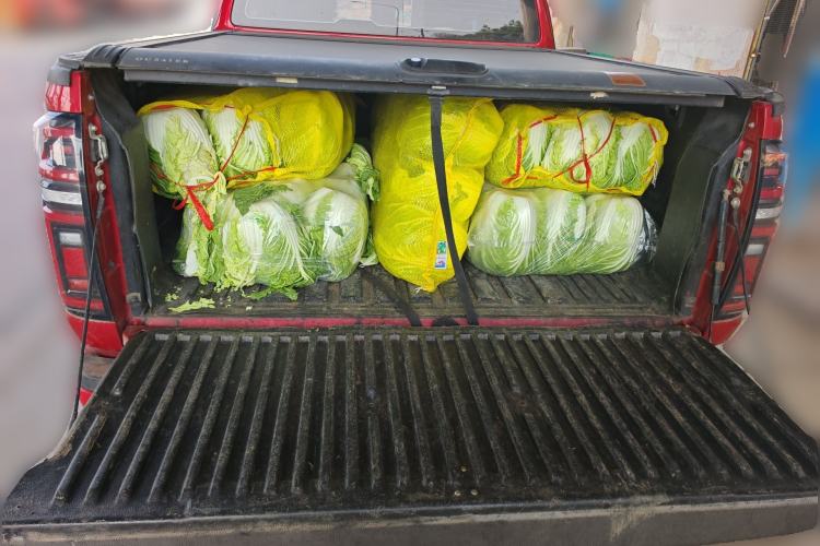 Used Great Wall Poer 2019 2.0T Automatic Gasoline 4x4 Comfort Edition GW4C20B