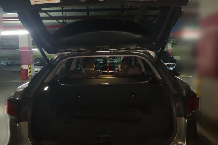 Used Lexus RX 2020 Revised Version 300 Two-Wheel Drive Comfort Edition