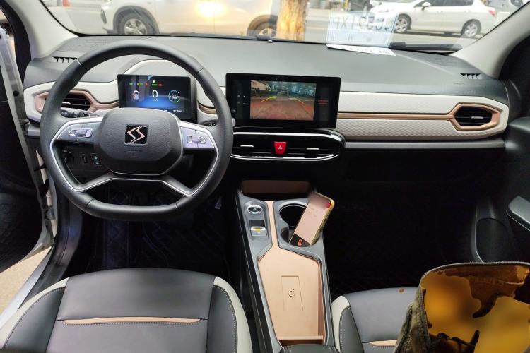 Used SOL E10X 2022 Flower Fairy Design Four-Leaf Clover