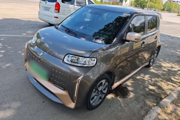 Used ORA White Cat 2022 Xiaoyue Mao Edition 360 km Luxury Model Lithium NMC