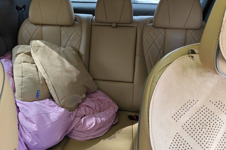 Used Denza D9 2022 DM-i 1040 Prestige Model Left Rear Seat