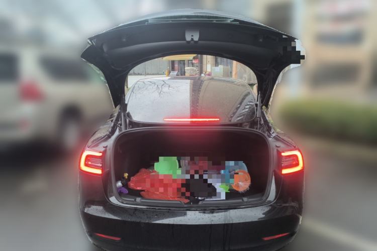 Used Tesla Model 3 2021 Standard Range Rear-Drive Upgraded Version
