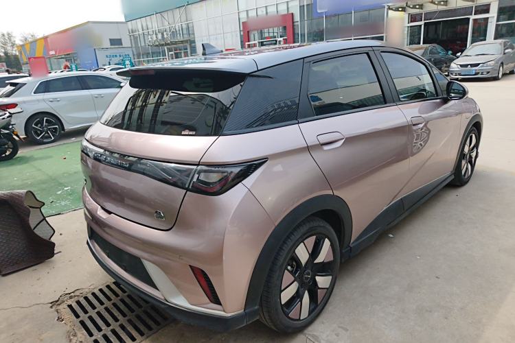 Used BYD Dolphin 2021 401km Knight Edition