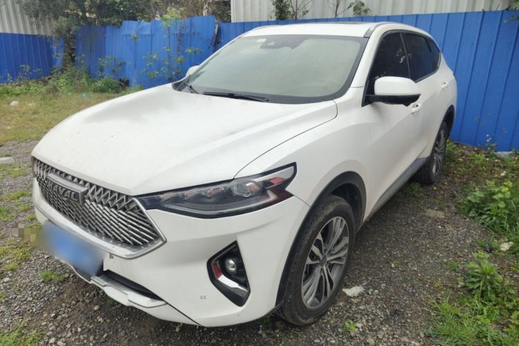Used Haval F7 2021 2.0T Two-Wheel Drive i-Van