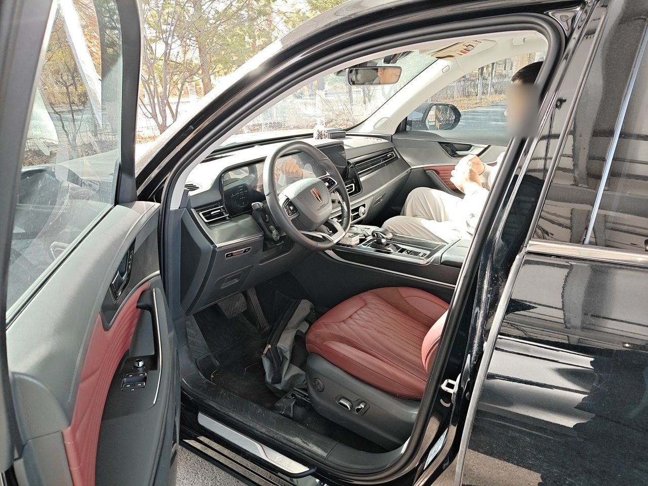 Hongqi HS5 2023 2.0T Qixiang Pro Edition — снимка 16