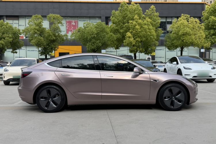 Used Tesla Model 3 2019 Long-Range All-Wheel-Drive Version
