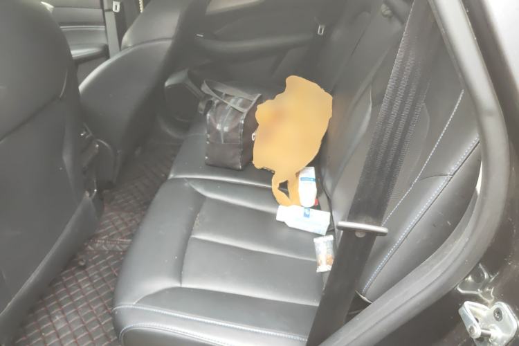 Used Roewe RX5 2023 PLUS 330TGI Automatic Trendsetting Smart Edition