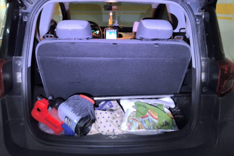 Used Chery QQ Little Ant 2021 150 000 Yuan Ant Fan Edition Ant Cool Version Lithium Iron Phosphate
