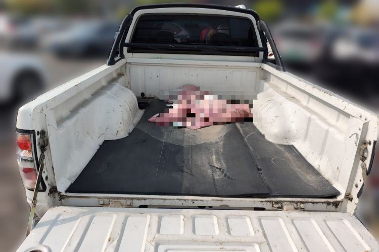 Used Foton Sapporo 2018 2.4L Two-Wheel-Drive Comfort Version with Long Bed 4G69S4M