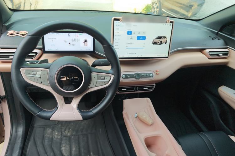 Used BYD Seagull 2025 Smart Drive Version 305 km Freedom Edition