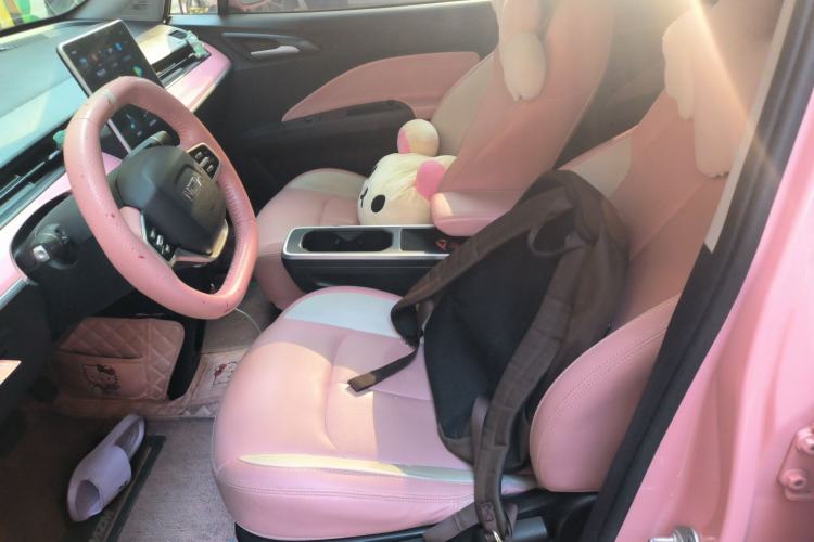 Used NETA V 2021 Witch Edition