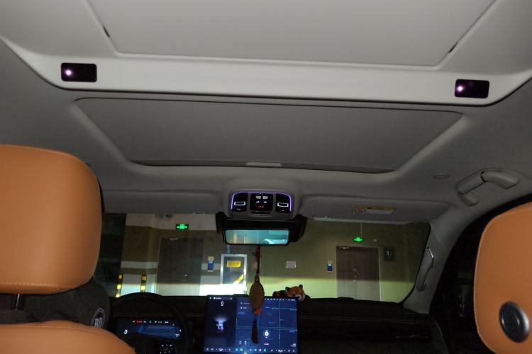 Used Tank 500 New Energy 2026 Model—Hi4-Z Smart Enjoyment Version Headliner