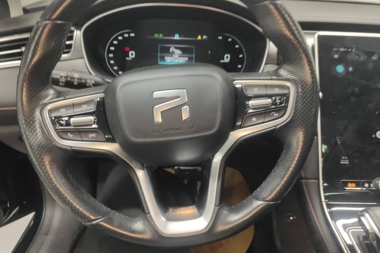 Used Rising ER6 2021 New Dynamic Edition 520km Smart Leading Version
